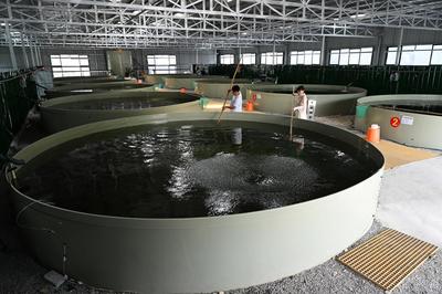 聽兩山回響,看碧水石臺